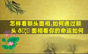 怎样看额头面相,如何通过额头 🦋 面相看你的命运如何